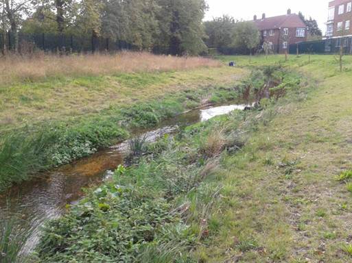 File:MayesbrookR1 afterrestoration.jpg