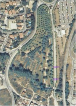 File:059 Riera Vallcorba PIRORIENTAL 013.jpg