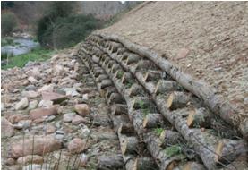 File:051 Rio Congost en La Garriga PIRORIENTAL 007 V.jpg