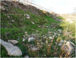 File:051 Rio Congost en La Garriga PIRORIENTAL 007 IV.jpg