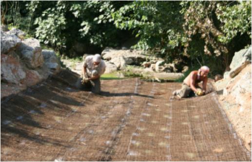 File:059 Riera Vallcorba PIRORIENTAL 013 V.jpg