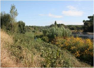 File:003 Riera de Caldes. Palau PIRORIENTAL 010 I.jpg