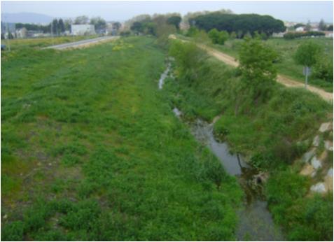 File:060 Rieras Vallmanya y Reixac PIRORIENTAL 016 XIII.jpg