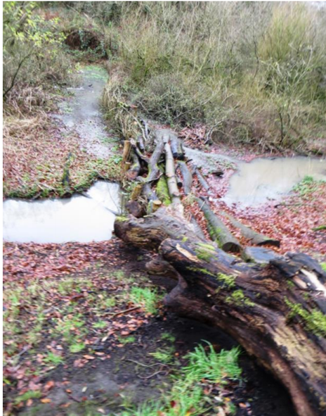 File:17 Blackbrook Slow the Flow.png