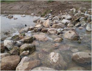 File:003 Riera de Caldes. Palau PIRORIENTAL 010 XIII.jpg