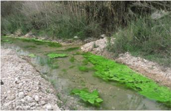 File:005 Rio Chicamo CHSEGURA 001 VIII.jpg