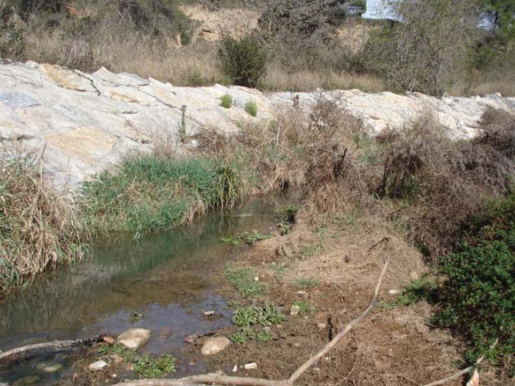 File:054 Rio Gaia PIRORIENTAL 020 I.jpg