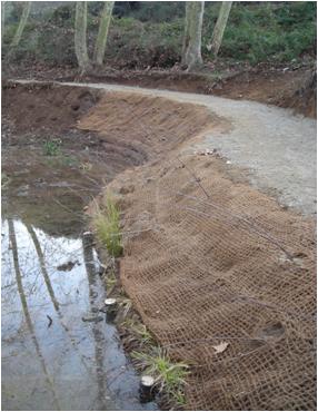 File:058 Torrente Can Sunyer PIRORIENTAL 012 VI.jpg