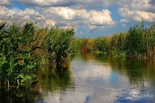File:The entrance in Holbina area.jpg