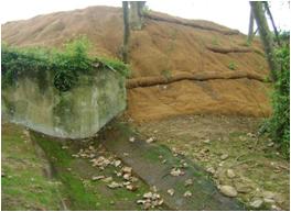 File:062 Riera Santa Coloma PIRORIENTAL 015 VII.jpg