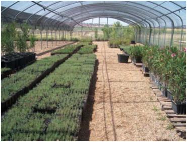 File:013 Rio Guadiato CHGUADALQUIVIR 002 VII.jpg