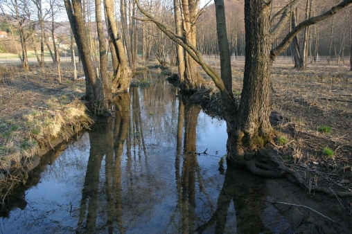 File:The regulated bed of Goriski Brezicek stream before restoration.jpg