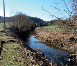 File:Rimozione delle specie invasive lungo il fiume Olpeta.jpg