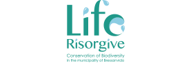 File:Life risogive.png