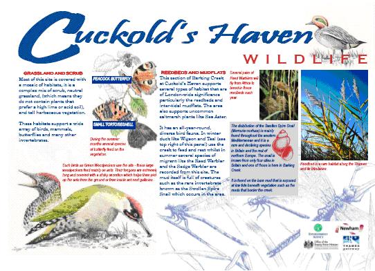 File:Cuckolds haven.jpg