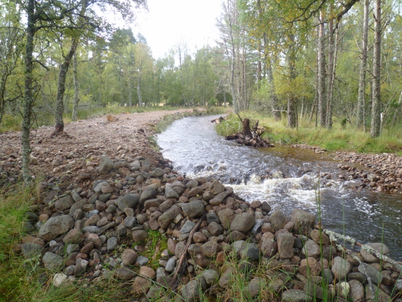 File:003 (800x600).jpg