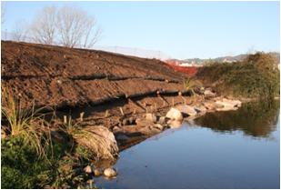 File:051 Rio Congost en La Garriga PIRORIENTAL 007 XI.jpg