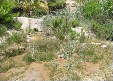 File:005 Rio Chicamo CHSEGURA 001 IV.jpg