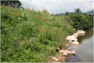 File:051 Rio Congost en La Garriga PIRORIENTAL 007 XII.jpg