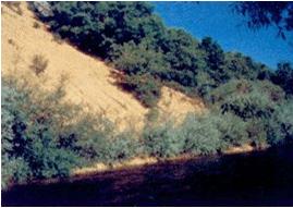 File:011 Rio Carrion CHDUERO 003 VII.jpg