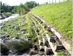 File:051 Rio Congost en La Garriga PIRORIENTAL 007 VI.jpg