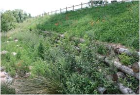 File:051 Rio Congost en La Garriga PIRORIENTAL 007 VII.jpg