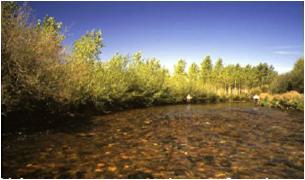 File:011 Rio Carrion CHDUERO 003 V.jpg