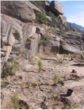 File:037 Rio Manzanares CHTAJO 004 III.jpg