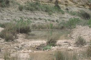 File:005 Rio Chicamo CHSEGURA 001 VII.jpg