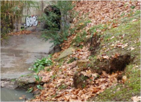 File:059 Riera Vallcorba PIRORIENTAL 013 I.jpg