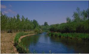 File:011 Rio Carrion CHDUERO 003 IV.jpg