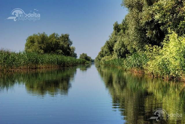 File:Dunavat channel.jpg