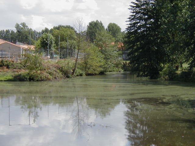 File:3.plan d eau.jpg