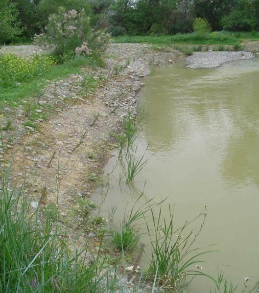 File:Campollano CHEBRO.jpg