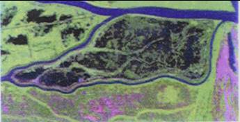 File:Satellite image of Cernovca area 1996.jpg