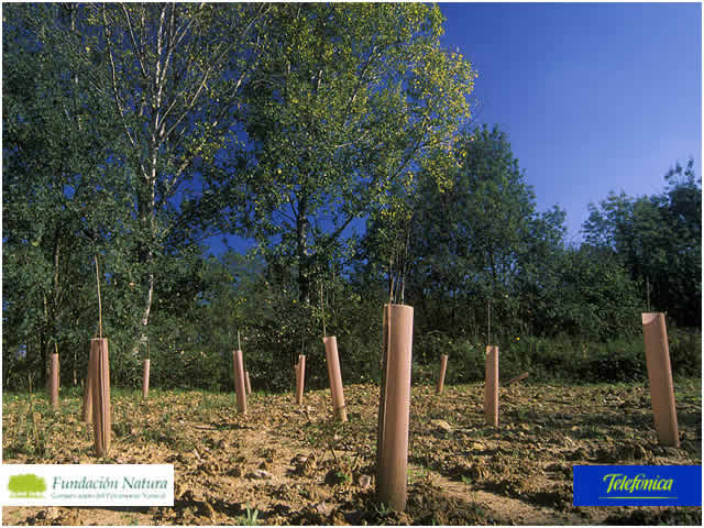 File:044 Rio Tordera San Celoni PIRORIENTAL 002 III.jpg