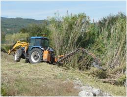 File:051 Rio Congost en La Garriga PIRORIENTAL 007 IX.jpg