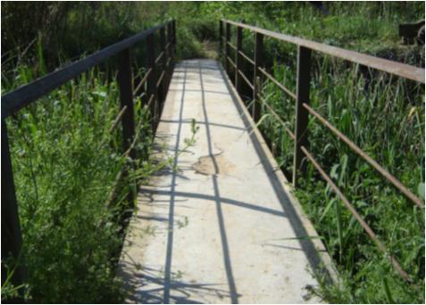 File:028 Acequia de Sils PIRORIENTAL 001 I.jpg