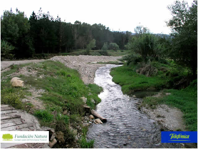 File:044 Rio Tordera San Celoni PIRORIENTAL 002 II.jpg