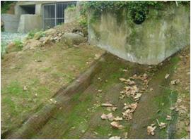 File:062 Riera Santa Coloma PIRORIENTAL 015 XIII.jpg