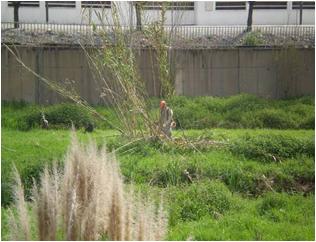 File:003 Riera de Caldes. Palau PIRORIENTAL 010 VIII.jpg