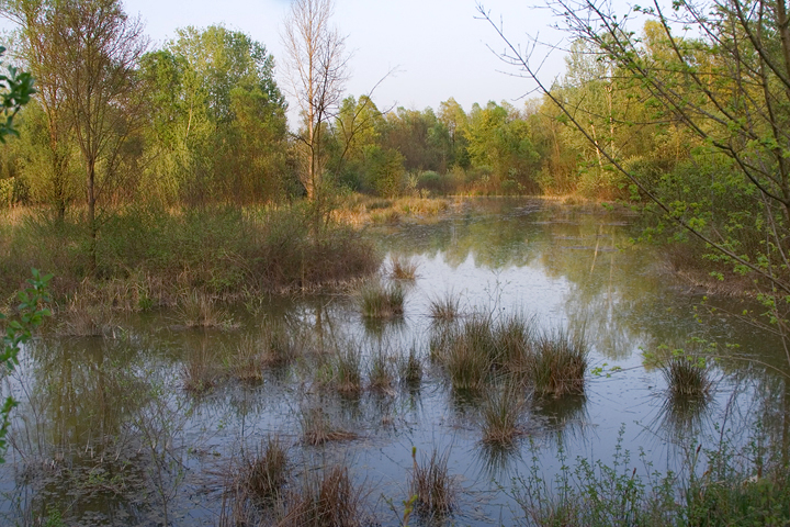 File:IMG 8228web.jpg