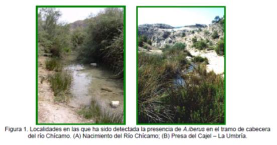 File:005 Rio Chicamo CHSEGURA 001 V.jpg