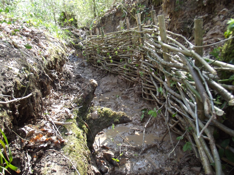 File:Volunteers Creating hurdles, acting to stabalise banke errosion (5).JPG