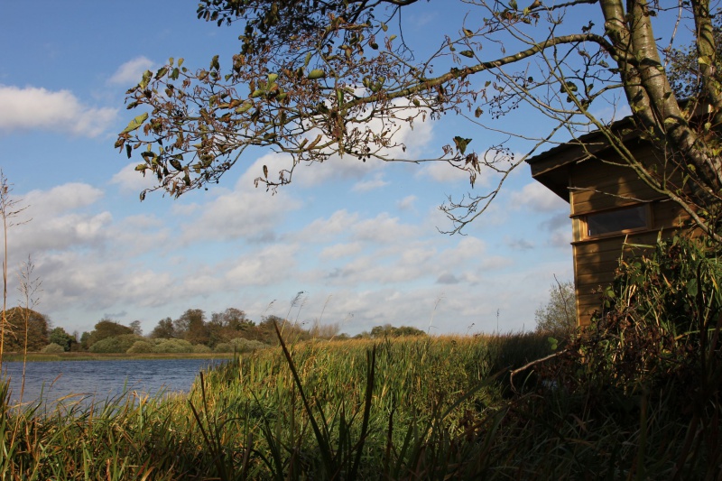File:Hornsea Mere & Hide - Jess Charlton (42).JPG