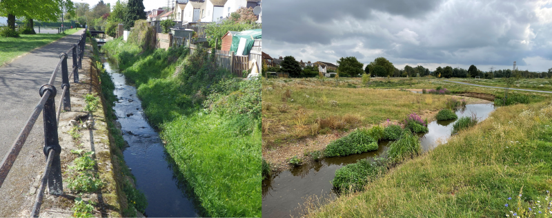 File:Albany Park Before and After.png