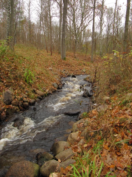File:New stream (photo. Maria Arola).JPG