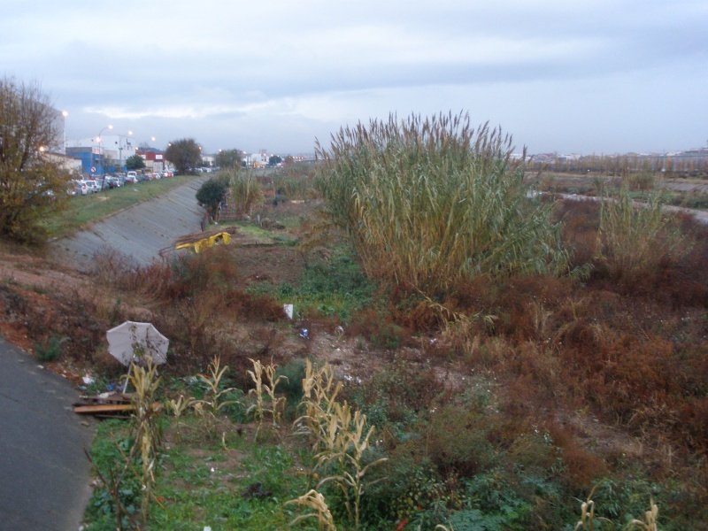 File:050 Rio Ripoll PIRORIENTAL 005 III.JPG