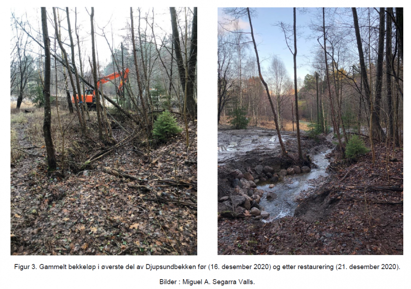 File:Djupsund stream before and after daylighting.png