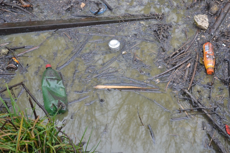 File:Platt Brook bed Before.jpg